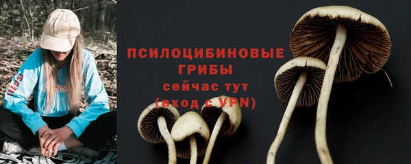 гашик Алексин