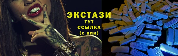 гашик Алексин