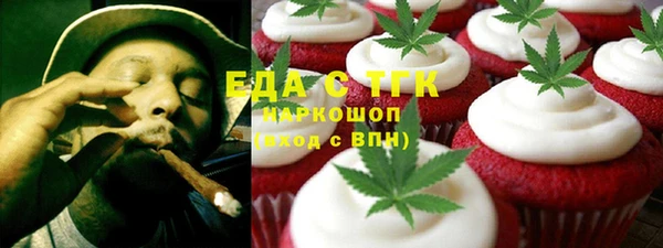гашик Алексин
