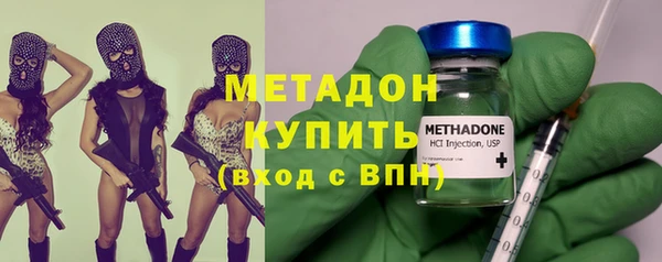 индика Алзамай