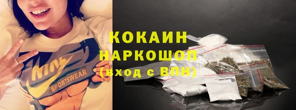 гашик Алексин