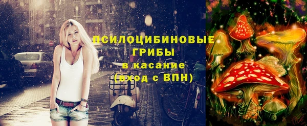 индика Алзамай