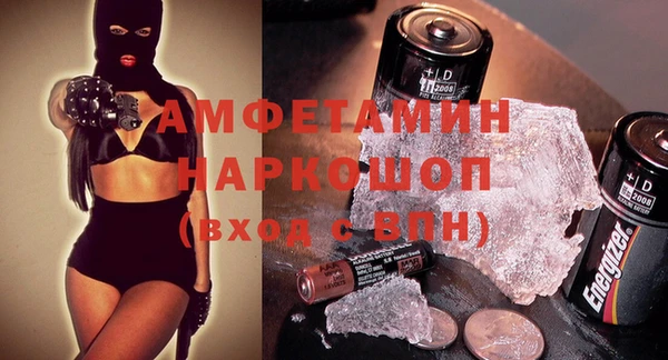 индика Алзамай