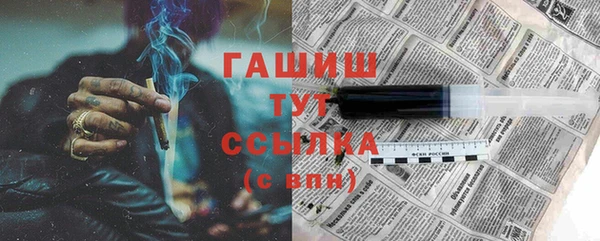 гашик Алексин