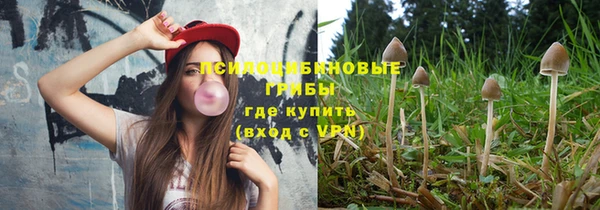 индика Алзамай