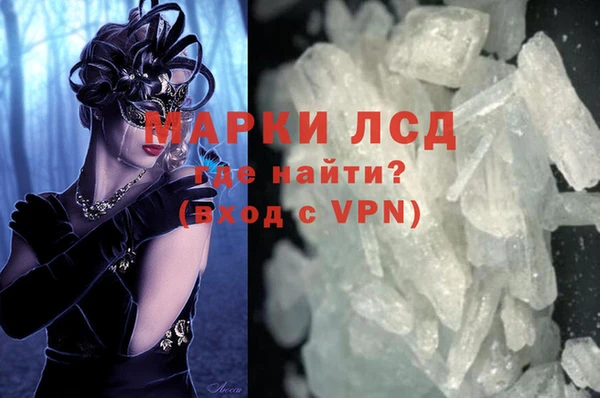 гашик Алексин