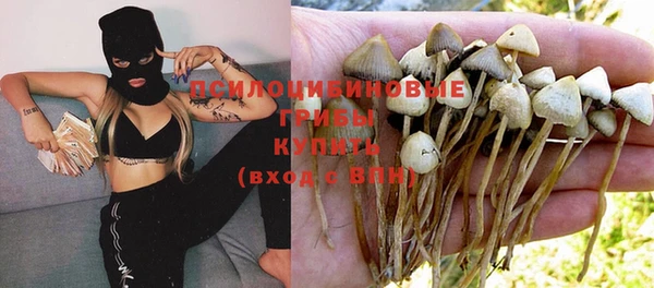 кокаин Алексеевка