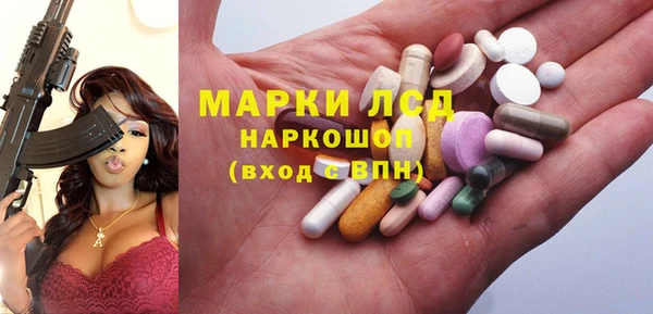 гашик Алексин