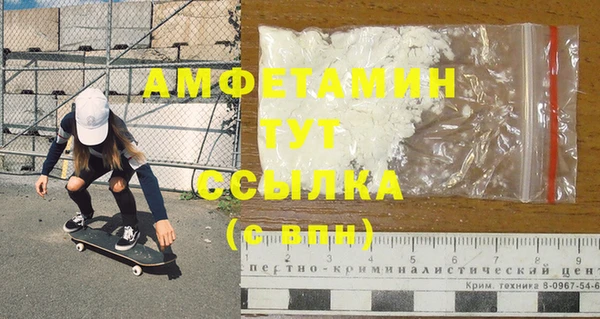индика Алзамай