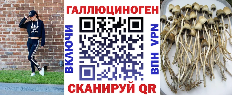 Галлюциногенные грибы мухоморы  Мирный 